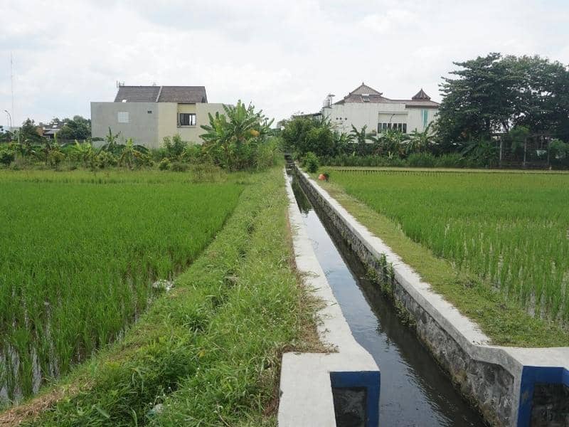 Drainage canal between low-lying properties reviewed for topographic survey data, runoff flow, and drainage design planning.